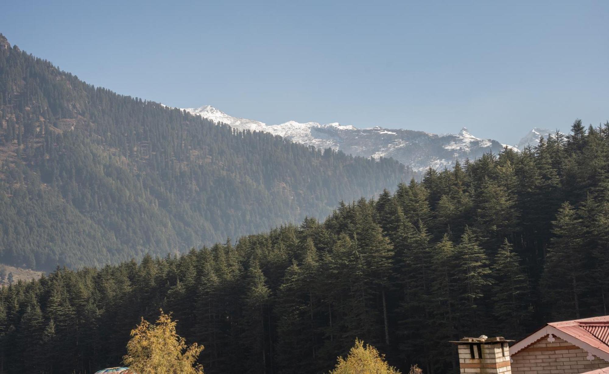 The Conifer Hotel Manali  Ngoại thất bức ảnh